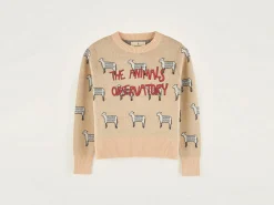 Grebe Ronde Hals Trui