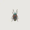 TROVELORE Snowdon Beetle Broche